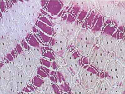 Lycra Fabric