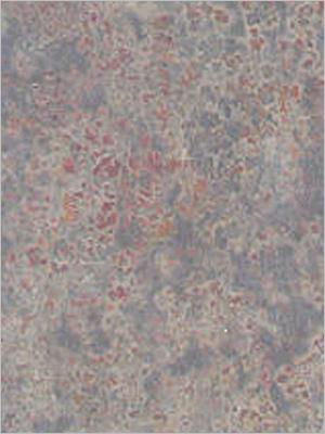 Indian Autumn Rustic Slate