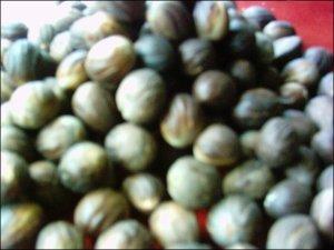 Nutmegs with Shell