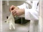 Surgical Gloves