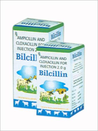 Amoxycillin Cloxacillin Injection