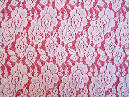 Laces on Fabric
