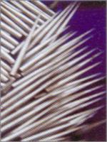 Steel Conical Needles