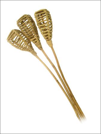 Dry Flowers