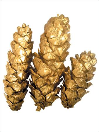 Dry Flowers