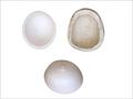 Thermocol Packaging Material - Eps Round Sheets 5x4x3 Inch | High Quality, Lightweight, Eco-friendly