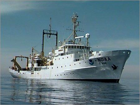 Sea Cargo Handling Service