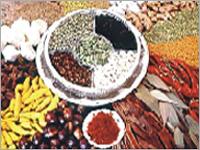 Organic Spices (Ginger Turmeric Chillies & Garlic)