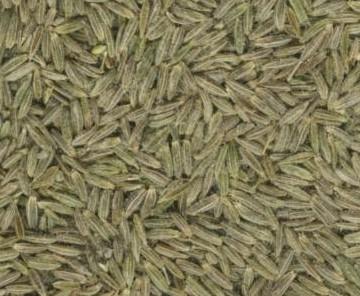 Cumin Seeds