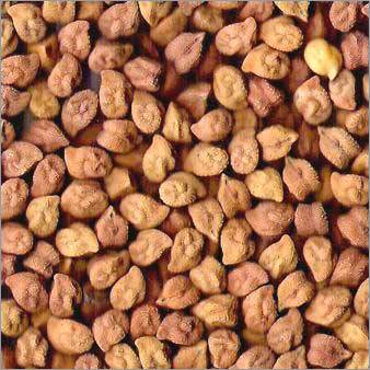 Bengal Gram