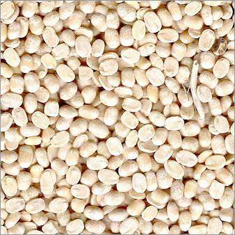 Pulses