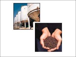 BIO FERTILIZERS