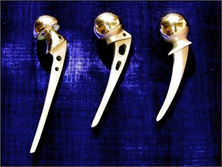 Hip Prosthesis