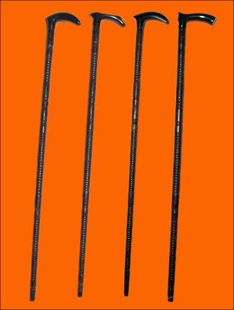 Walking Sticks