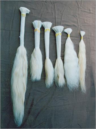 Natural White Hair