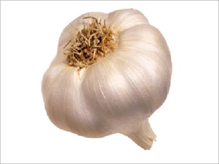 Agro Products & Commodities