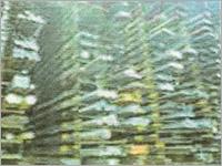TMT Bars & others ( Sizes 6mm to 28mm etc )