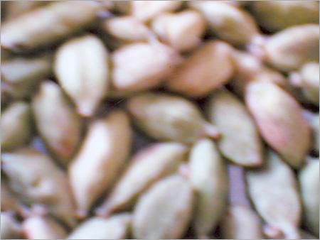 Cardamom Sizes 7mm to 8mm & Others