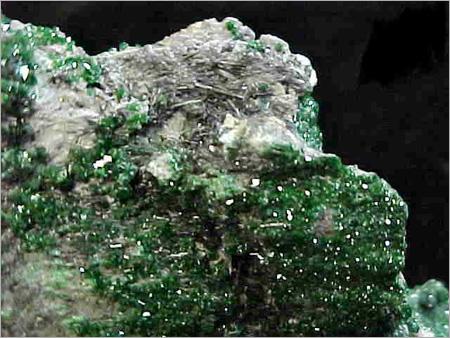 Mineral