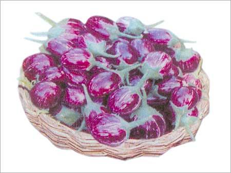 Hybrid Brinjal