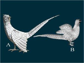 Silver - Decorative Bird Pair