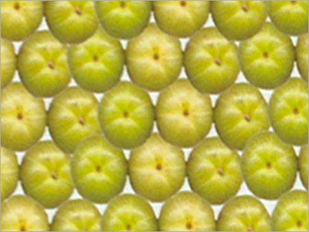Food Product