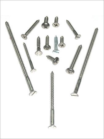 Nuts & Bolts (Stainless Steel)