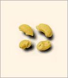 Broken White Cashew Nuts