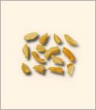 Split Cashew Nut