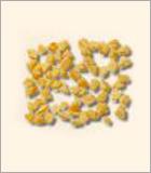 Broken Cashew Nuts
