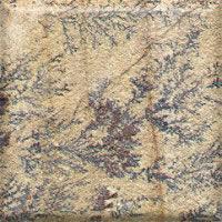 Fossil Slate Stone