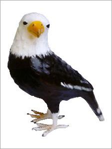 Eagle