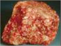 Mineral Potash