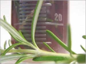 Herbs Measure
