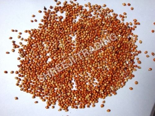 Red Sorghum Shelf Life: 1 Years