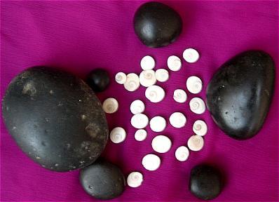 All type of Shaligram(ammonite) shilas and gomti shilas for puja