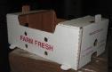 Vegetable Box