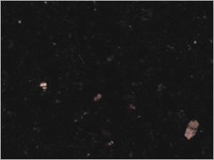 Black Galaxy
