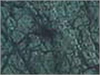 Green Marble
