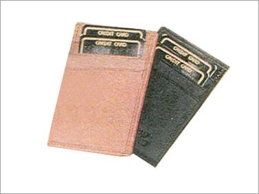 Credit Card Holder