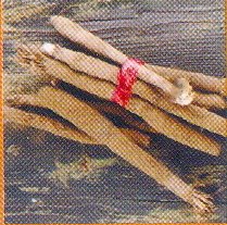 Withania somnifera (Ashwagandha)