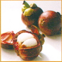 Garcinia mangostana (Mangosteen)