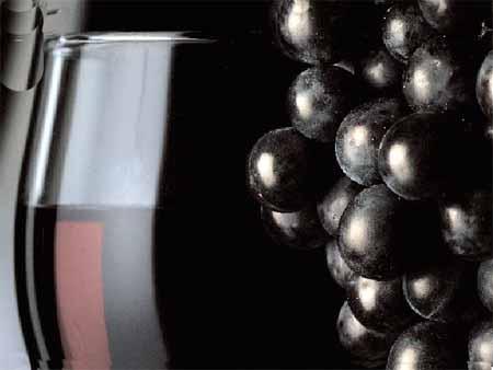 Food additives