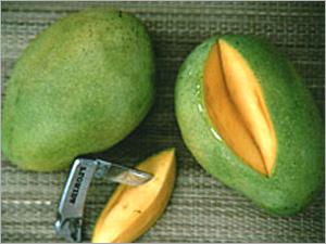 Fazli Mangoes