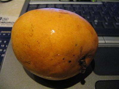 Langra Mangoes