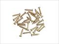 Brass Nails