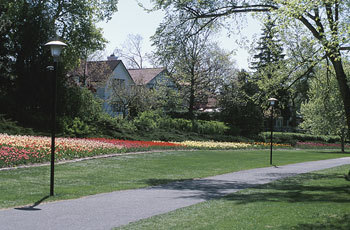 Garden Plant Grower and Consultants
