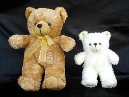 ROMEO BEAR 25 N 50