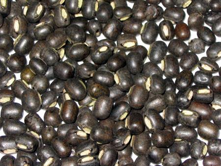 Pulses- Urad