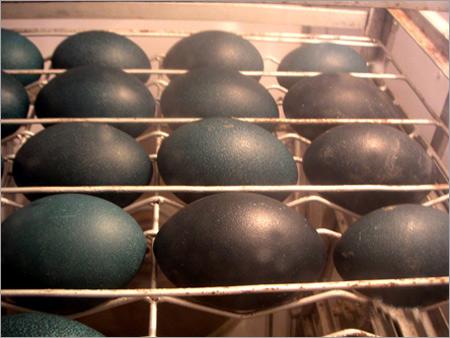 Emu Eggs - Calcium Carbonate 13-15cm Length Dark Green | Durable Shells Large Size Decorative Crafts